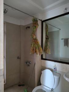 Common Bathroom Image of 1365 Sq.ft 3 BHK Apartment / Flat for rent in Hiranandani Meadows, Thane West Thane for Rs. 70000
