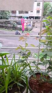 Balcony Image of 790 Sq.ft 2 BHK Apartment / Flat for sale in Raikar Shree Laxmi Vihar, Dhayari Pune for Rs. 4500000