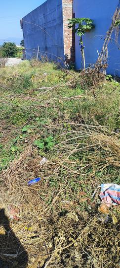 Badrish Vihar, Kargi Main Image 1