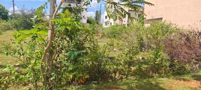 Image of 1200 Sq.ft Residential Plot / Land for sale in Basavanahalli, Mysore for Rs. 10500000