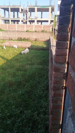 Dhanaut Main Image 1