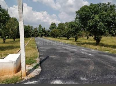 Image of 1456 Sq.ft Residential Plot / Land for sale in Sri Padmavati Mahila Visvavidyalayam, Tirupathi for Rs. 2950000