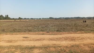Image of 2000 Sq.ft Residential Plot / Land for sale in Dhaua, Bhubaneswar for Rs. 2000000