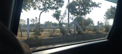 YEIDA Individual Residential Plots Plot View 3