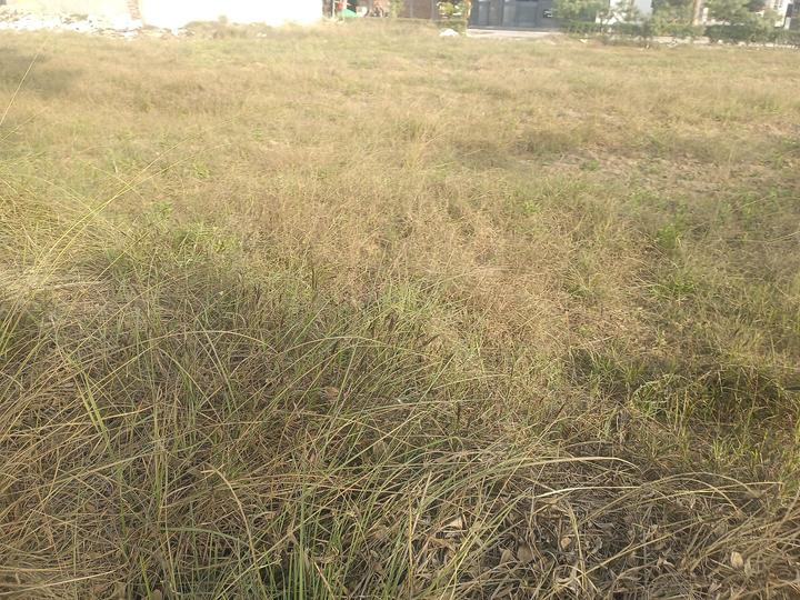 Experion The Westerlies Plots Main Image 1