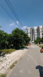Image of 1159 Sq.ft Residential Plot / Land for sale in S A Homeland Regalia, Sector 77, Mohali for Rs. 30000000