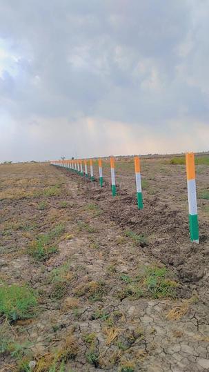 Dholera Global City Main Image 1