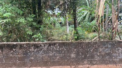 Image of 5880 Sq.ft Residential Plot / Land for sale in Viyyoor, Thrissur for Rs. 9585000