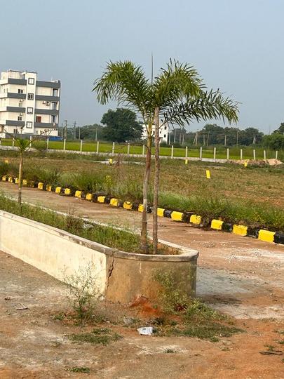 My home garden Main Image 1