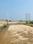 Pipliya Bajkhan Main Image 1