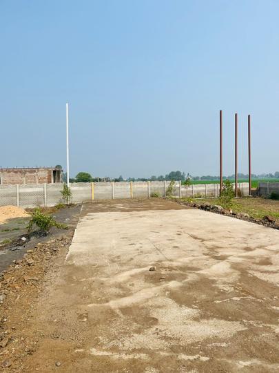 Pipliya Bajkhan Main Image 1