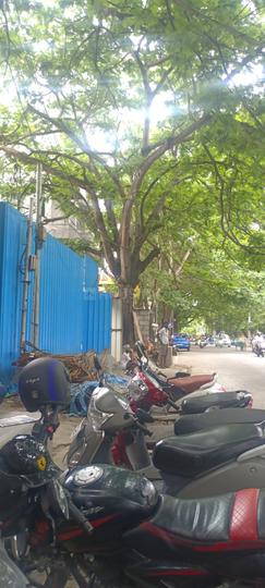 Stage 1 Main Image 1