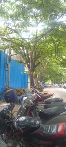 Stage 1 Plot View 1