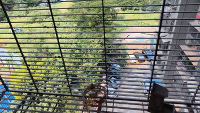 Image of 800 Sq.ft 2 BHK Apartment / Flat for sale in Evershine Greens, Andheri West, Mumbai for Rs. 26000000