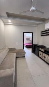 Hall Image of 560 Sq.ft 1 BHK Builder Floor for rent in Malviya Nagar Jaipur for Rs. 20000