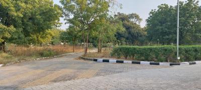 Devdholera Plot View 3