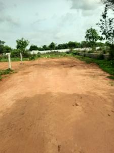 Residential Plot
