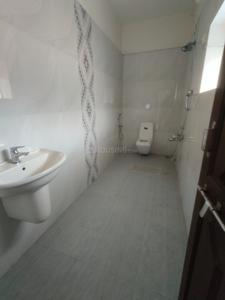 Bathroom Image of 3500 Sq.ft 5 BHK Independent House for rent in Balmatta Mangalore for Rs. 150000