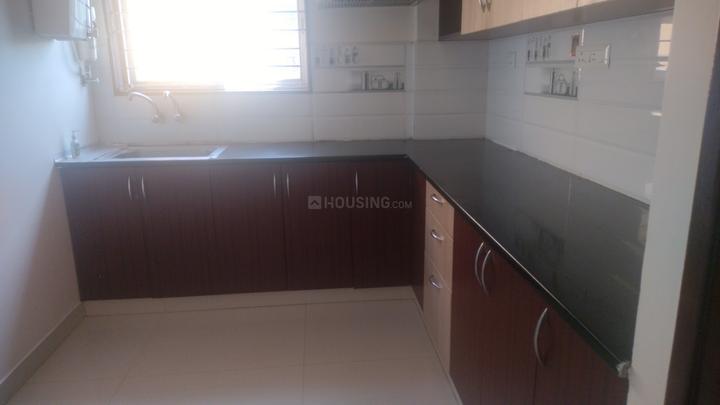 Iris serenity Main Image 1