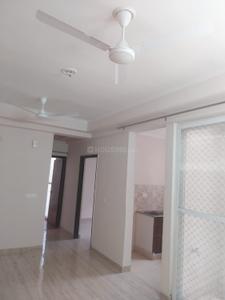 Hall Image of 920 Sq.ft 2 BHK Apartment / Flat for rent in Amrapali Dream Valley 2, Noida Extension Greater Noida for Rs. 20000