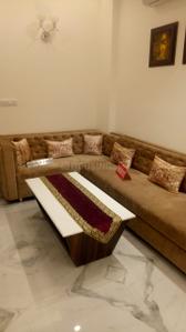 Bedroom Image of 820 Sq.ft 2 BHK Apartment / Flat for rent in AGI Smart Homes, Pholriwal Jalandhar for Rs. 24900