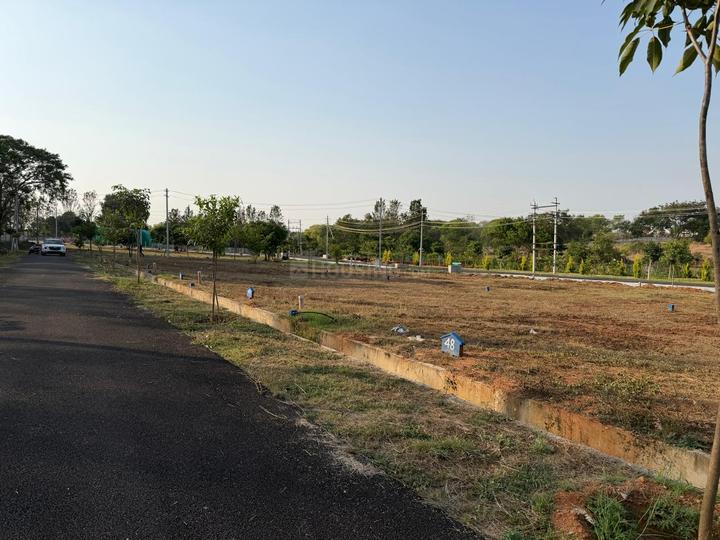 Yelwala Main Image 1