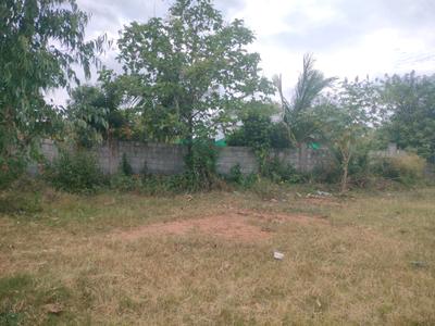 Mullur Plot View 2