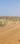 Bihta Plot View 2