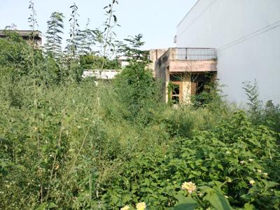 Anand Niketan Suraksha And Vikas Samiti Plot View 2