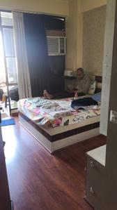 Bedroom Image of 735 Sq.ft 2 BHK Apartment / Flat for sale in Signature Global Synera, Sector 81 Gurgaon for Rs. 6500000