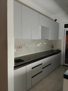 Kitchen Image of 2350 Sq.ft 3 BHK Builder Floor for sale in Sector 49 Gurgaon for Rs. 18000000