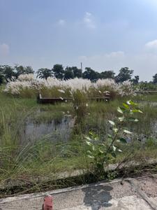 Image of 2000 Sq.ft Residential Plot / Land for sale in Ramnagar Rd, Kashipur for Rs. 4000000