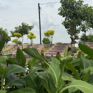 Image of 800 Sq.ft Residential Plot / Land for sale in Ramesht Shri Ayodhya Puram, Panchderiya, Indore for Rs. 2280800