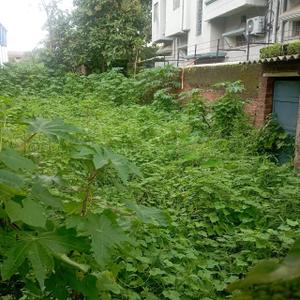 Image of 4400 Sq.ft 1 RK Farm House for rent in Ratu Basti, Ranchi for Rs. 100000