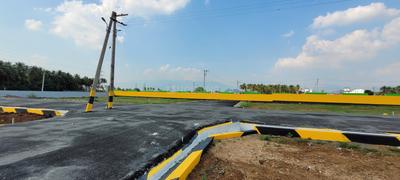 Karipatti Plot View 2