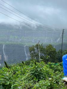 Image of 1500 Sq.ft 2.5 BHK Farm House for sale in Shahapur, Thane for Rs. 5500000