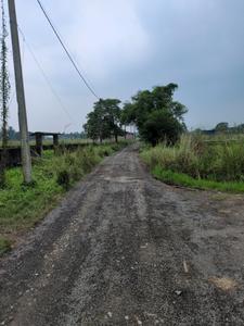 Wander Valley Internal Roads 2