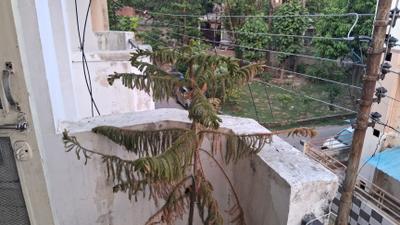 Image of 930 Sq.ft 2 BHK Apartment / Flat for sale in Jankipuram, Lucknow for Rs. 4200000