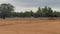 Ganeshapuram Plot View 2