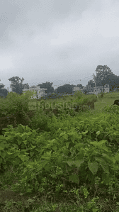 Image of 4356 Sq.ft Residential Plot / Land for sale in Namkum, Ranchi for Rs. 9000000
