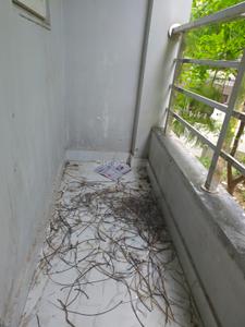 Balcony Image of 275 Sq.ft 1 RK Builder Floor for rent in Sector 41 Gurgaon for Rs. 18000
