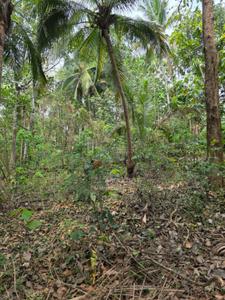 Image of 4655 Sq.ft Residential Plot / Land for sale in Minalur, Thrissur for Rs. 125000