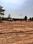 Marathon Nexzone Phase 3 S6 Wing D Plot View 2