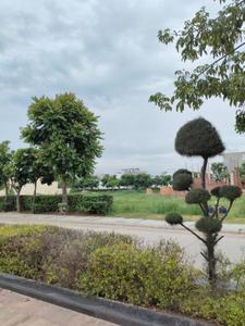 Image of 300 Sq.ft Residential Plot / Land for sale in Omaxe Phase 3 Mullanpur, New Chandigarh, Chandigarh for Rs. 35000000