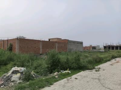 Chhapraula Plot View 2