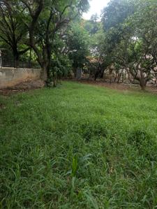 Dodsworth Layout Plot View 2