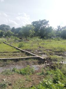 Sejbahar Plot View 2