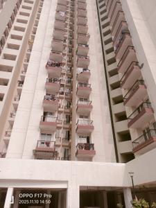 Image of 585 Sq.ft 1 BHK Apartment / Flat for sale in Amrapali Dream Valley 2, Noida Extension, Greater Noida for Rs. 4700000