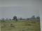 Annur Main Image 1