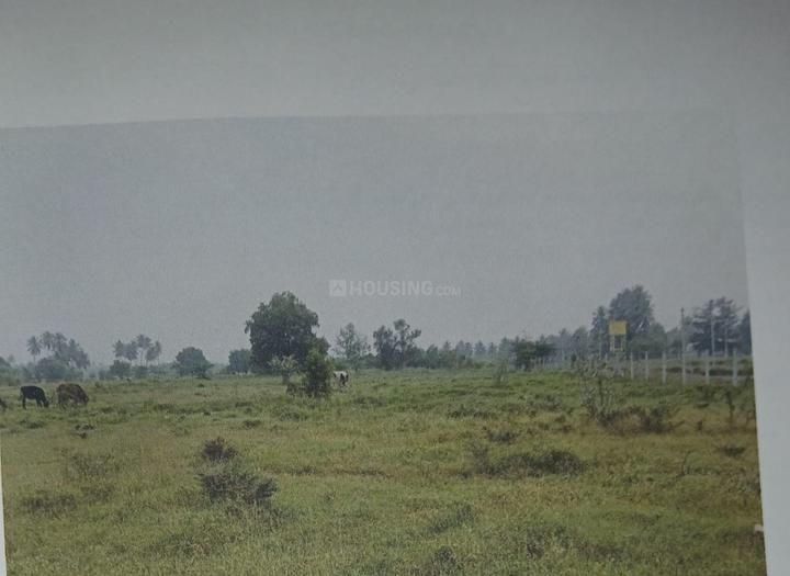 Annur Main Image 1